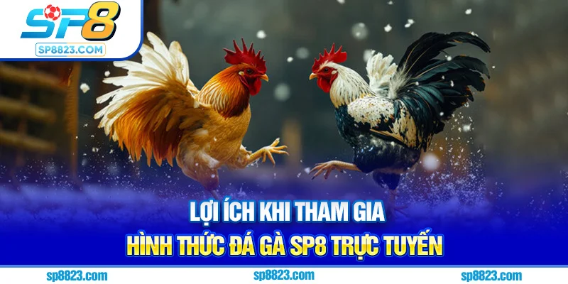 Lợi ích khi tham gia hình thức đá gà Sp8 trực tuyến