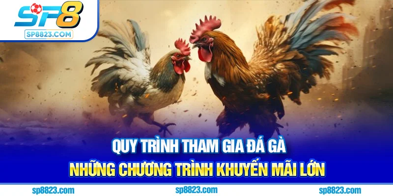 Quy trình tham gia đá gà dễ dàng & an toàn
