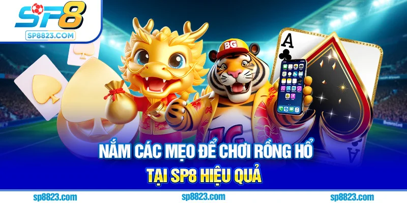 Nắm các mẹo để chơi rồng hổ tại Sp8 hiệu quả
