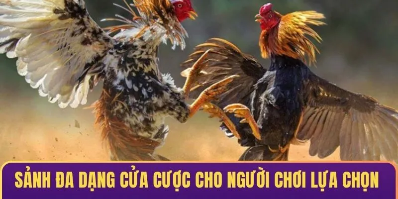 Sảnh game đa dạng cửa cược cho người chơi lựa chọn & tham gia