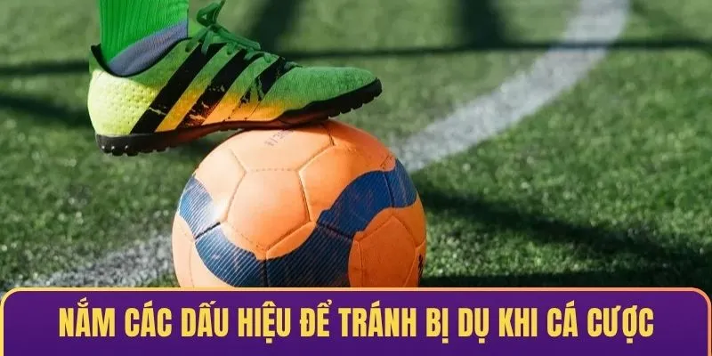 Nắm các dấu hiệu để tránh bị dụ khi cá cược