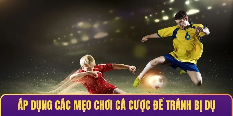 Áp dụng các mẹo chơi cá cược để tránh bị dụ